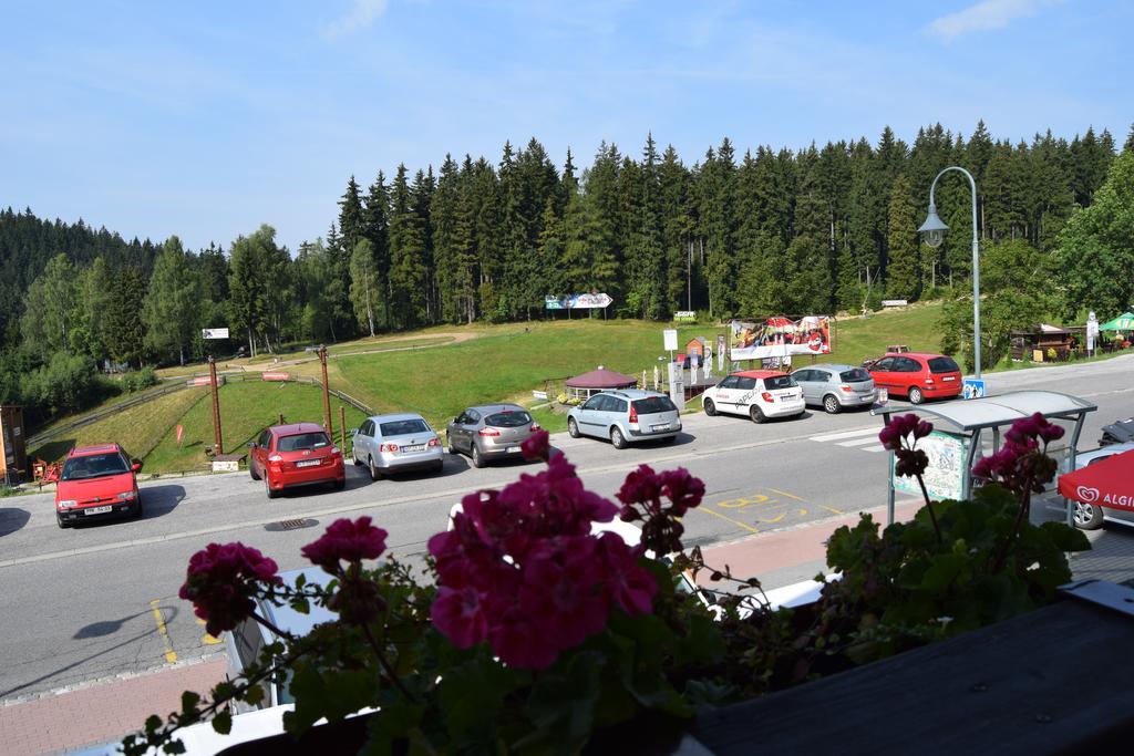 Verde Rosa Harrachov Camera foto